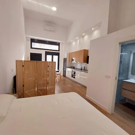 Apartment Relu Malaga